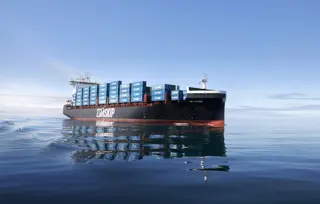 _c3a7341823_crop.jpg (1)