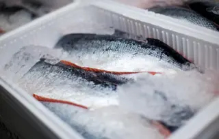 shutterstock_144122521.jpg (1)